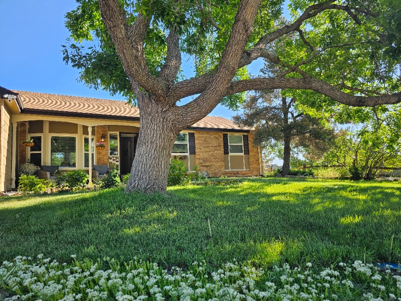 8653 W Rowland Pl in Littleton, CO - Building Photo