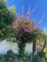 17041 Escalon Dr in Los Angeles, CA - Building Photo - Building Photo
