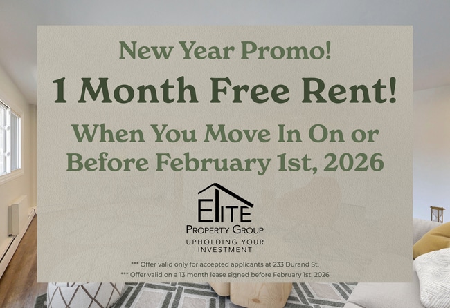 property at 233 Durand St