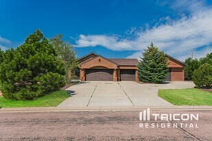 9764 Rockingham Dr in Peyton, CO - Building Photo