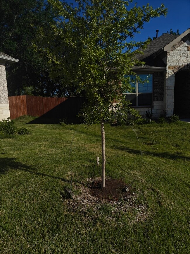 2516 Sakeena Ct in Bedford, TX - Building Photo - Building Photo