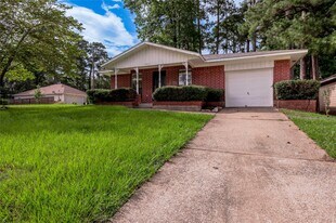 3011 Sand Dr in Huntsville, TX - Building Photo