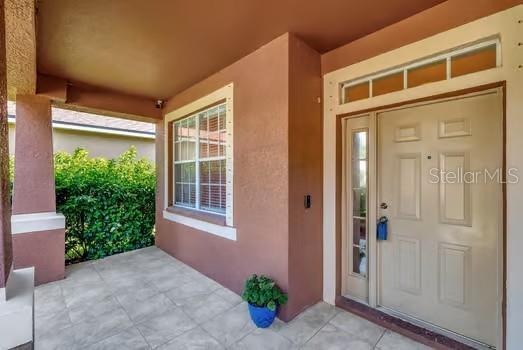 10906 Holly Cone Dr in Riverview, FL - Building Photo - Building Photo
