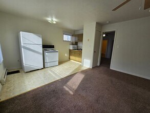 618 E Mulberry St in Bloomington, IL - Building Photo - Building Photo