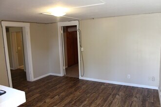 295 S Williams St in Denver, CO - Building Photo - Building Photo