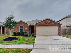 804 Painted Bison Dr in La Marque, TX - Building Photo