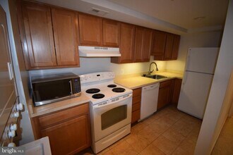 2627 Adams Mill Rd NW in Washington, DC - Building Photo - Building Photo