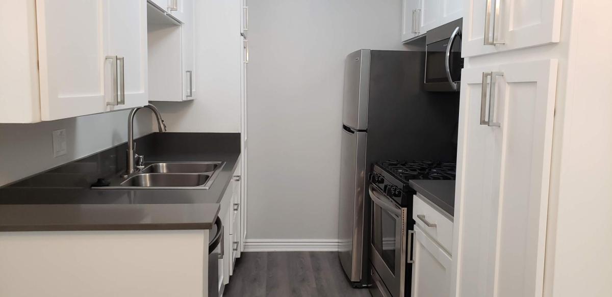 1455 S Wooster St in Los Angeles, CA - Building Photo