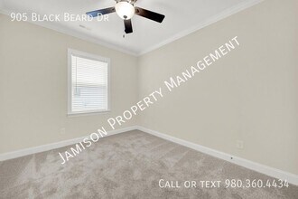 905 Black Beard Dr in Denver, NC - Building Photo - Building Photo