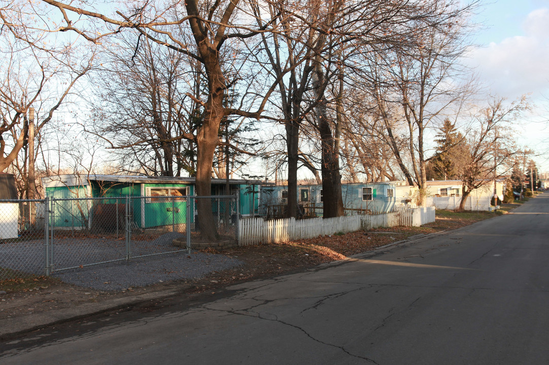 701-713 First Ave in Troy, NY - Building Photo