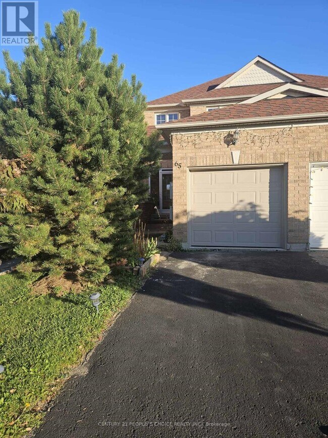 property at 65 Olympia Crescent