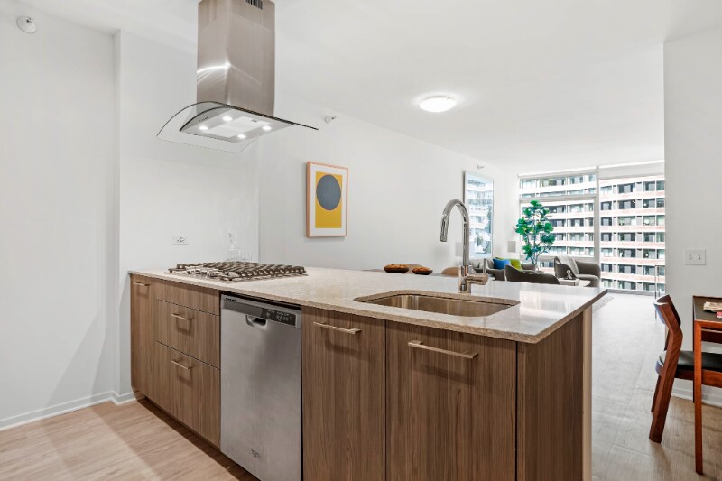541 N Fairbanks Ct in Chicago, IL - Building Photo