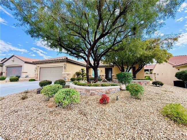2119 Gunnison Pl in Henderson, NV - Building Photo - Building Photo