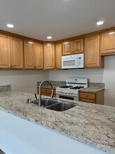 245 Orange Blossom in Irvine, CA - Building Photo - Building Photo