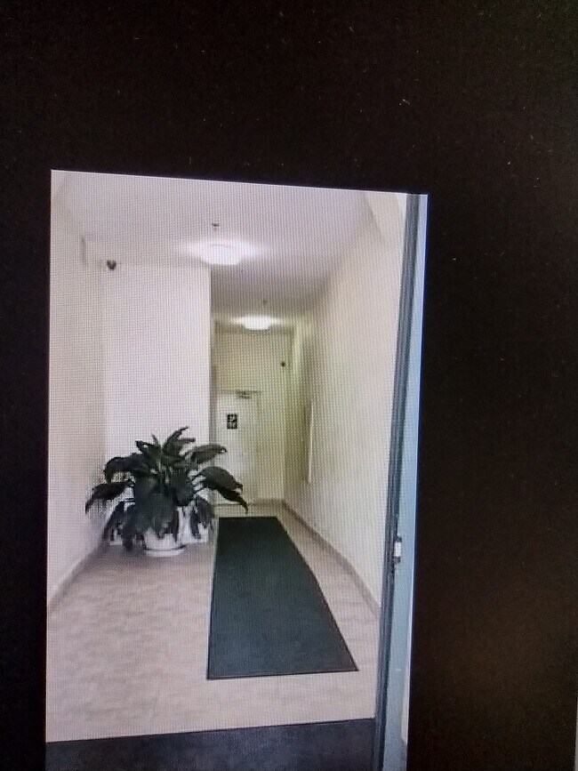 50 Main St Rentals in Brewster, NY