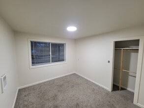 10811 56th Ave S, Unit Downstairs in Seattle, WA - Foto de edificio - Building Photo