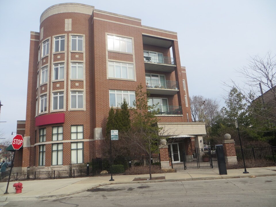 5036 W Pensacola Ave, Unit 305 in Chicago, IL - Building Photo