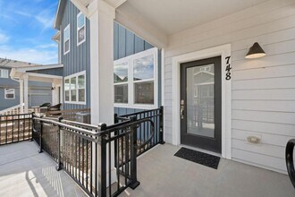 748 Silver Maple Ln in Fort Collins, CO - Building Photo - Building Photo