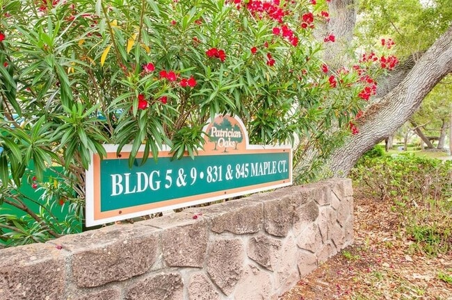 845 Maple Ct in Dunedin, FL - Building Photo - Building Photo
