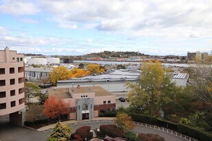 175 Cottage St, Unit 702 in Chelsea, MA - Building Photo