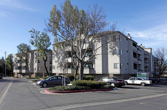 Bridgeporte in Hayward, CA - Building Photo - Building Photo