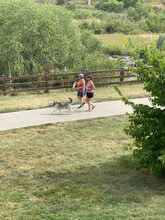 17443 Nature Walk Tr in Parker, CO - Building Photo - Building Photo