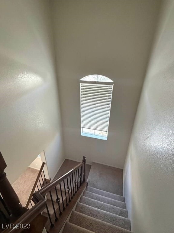 property at 1541 Mt Noble Ct