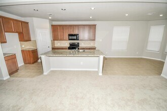 17515 Wheat Farm Ln in Hockley, TX - Building Photo - Building Photo