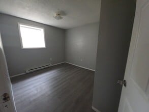 113 E Franklin St in Endicott, NY - Building Photo - Building Photo