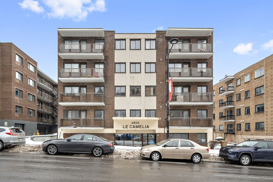 Le Camelia in Montréal, QC - Building Photo