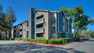 Mill Creek in Milpitas, CA - Building Photo - Building Photo