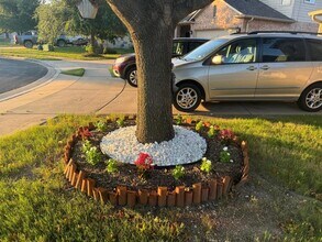 105 Sandy Lyle Cove in Round Rock, TX - Building Photo - Building Photo