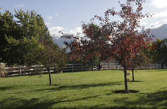 Silver Pines in Sandy, UT - Foto de edificio - Building Photo