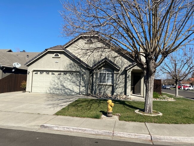 907 Kirksey Dr in Turlock, CA - Building Photo - Building Photo