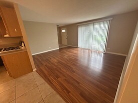 1028 Sagamore Dr in Schaumburg, IL - Building Photo