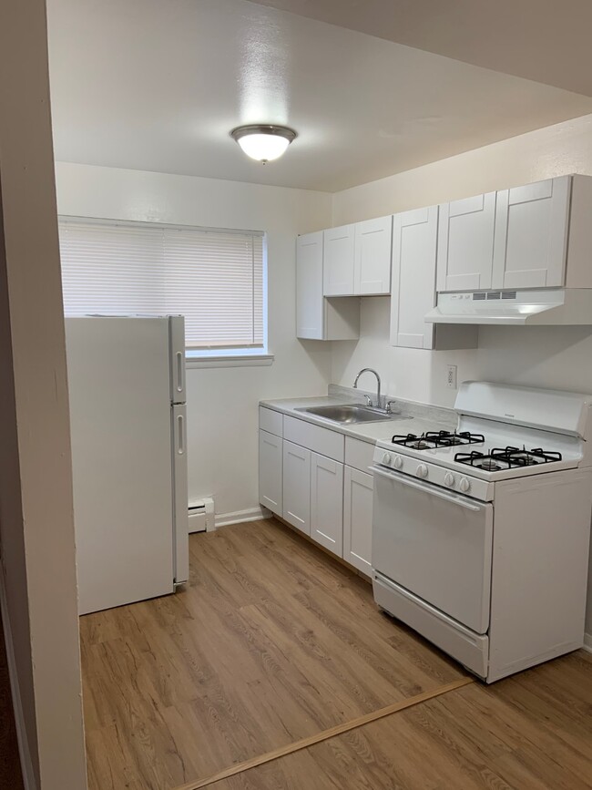 Elsinore Courtyard Apartments in Washington, DC - Building Photo - Building Photo