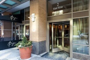 2 E Erie St in Chicago, IL - Building Photo
