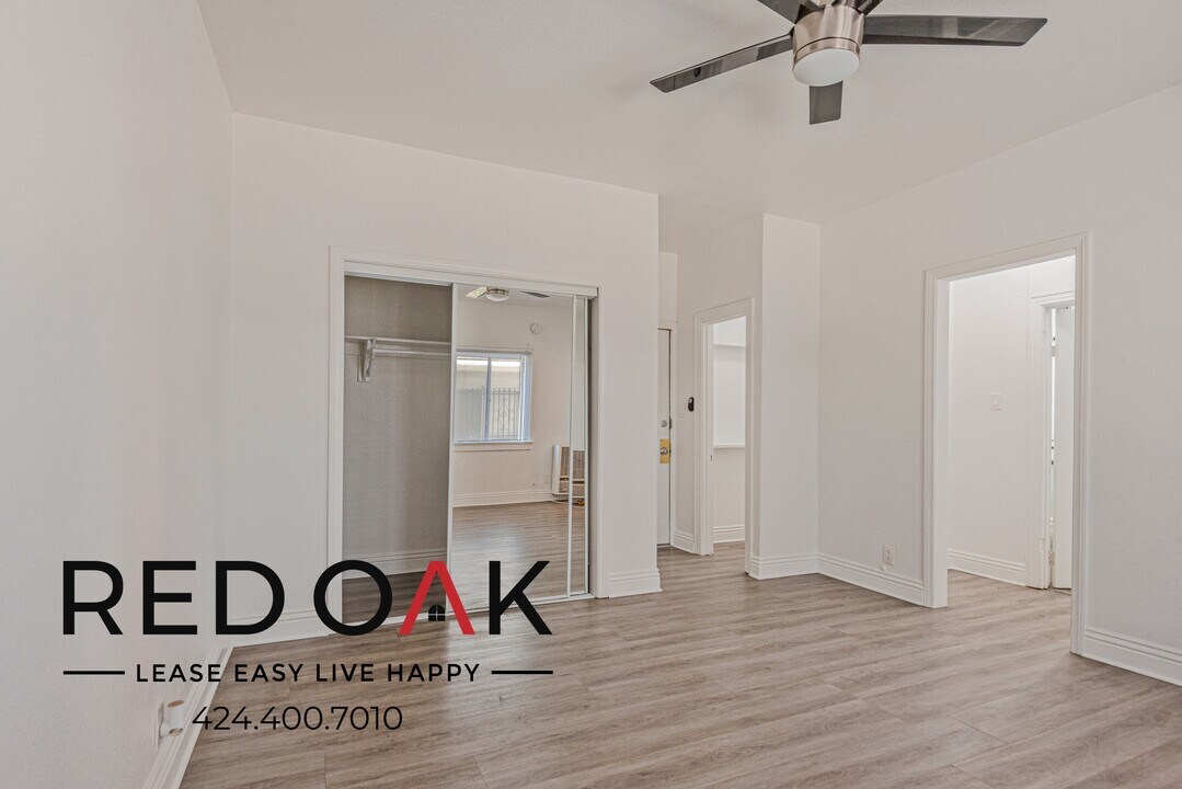 1017 S Kingsley Dr in Los Angeles, CA - Building Photo