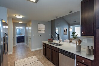 Solace Apartments in Virginia Beach, VA - Building Photo - Building Photo