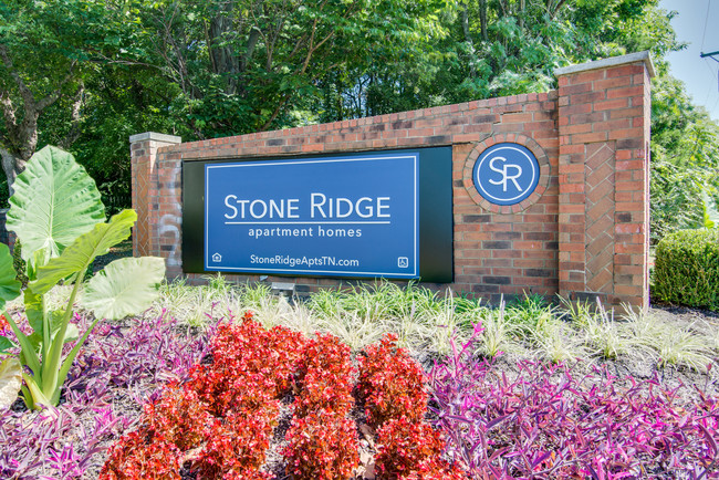 Stone Ridge in Antioch, TN - Building Photo - Building Photo