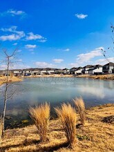 4802 W Planetree St in Fayetteville, AR - Building Photo - Building Photo