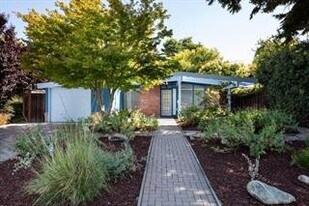 2416 Laura Ln in Mountain View, CA - Building Photo