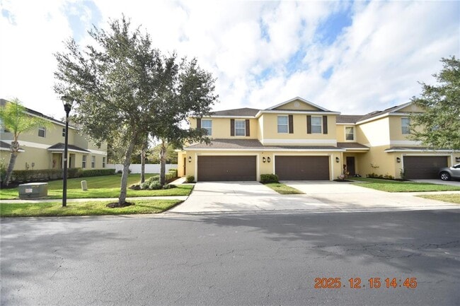 20210 Pond Apple Ln in Tampa, FL - Building Photo - Building Photo