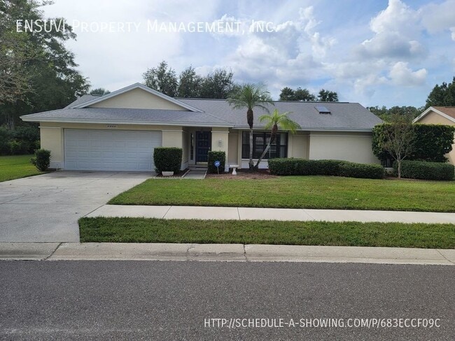 5003 Bridgeport Dr in Safety Harbor, FL - Building Photo - Building Photo