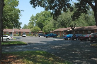 Forest Glen Apartments in Palatka, FL - Building Photo - Building Photo