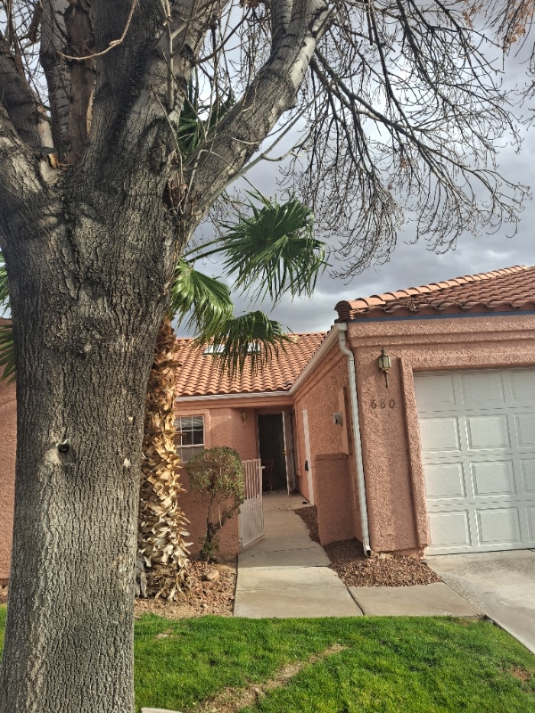 680 Peartree Ln in Mesquite, NV - Building Photo - Building Photo