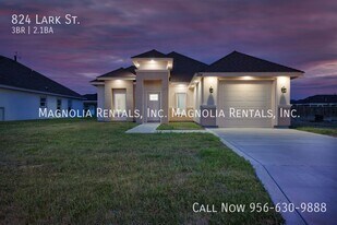 824 Lark St in Alamo, TX - Building Photo