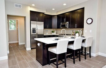 20 Shreve Ln in Lafayette, CA - Building Photo - Building Photo
