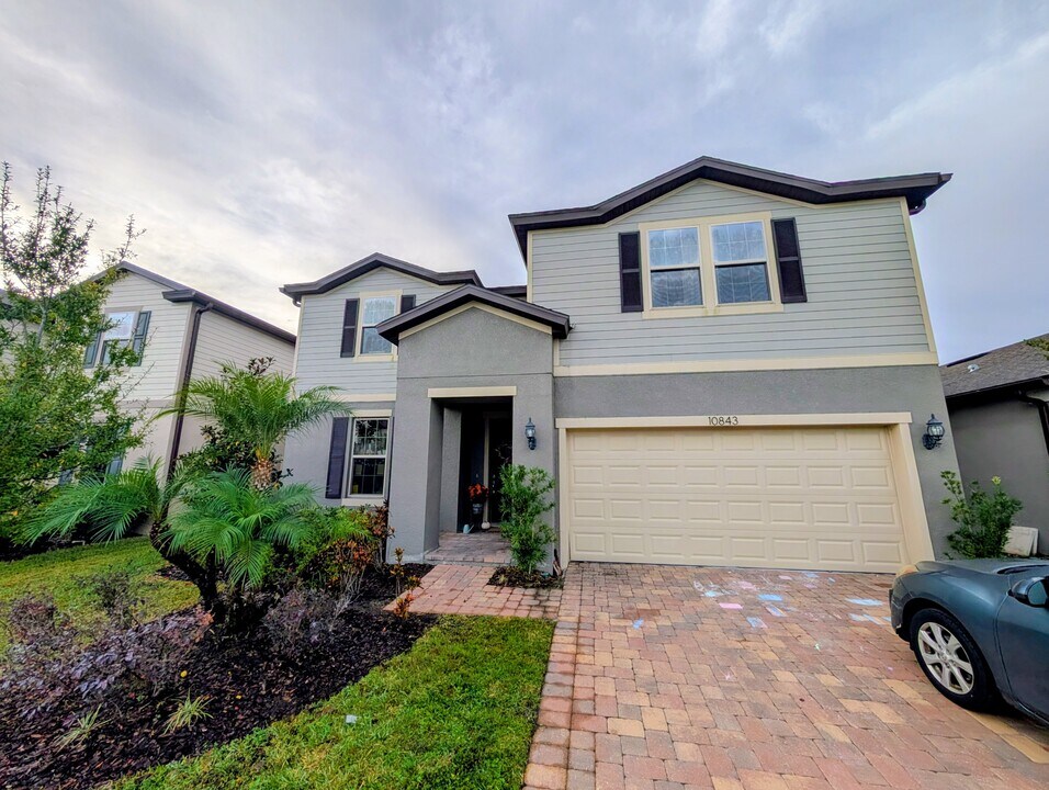 10843 Rolling Moss Rd in Tampa, FL - Building Photo