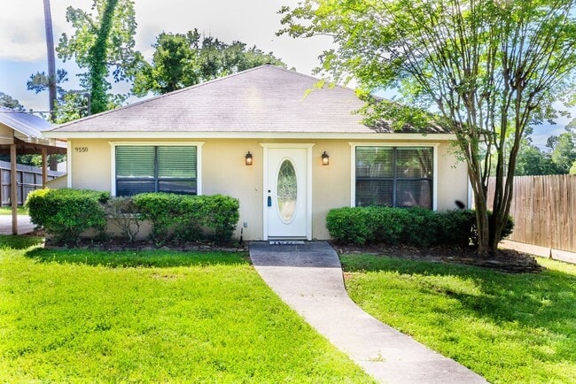 9550 Thousand Oaks Loop in Montgomery, TX - Building Photo - Building Photo
